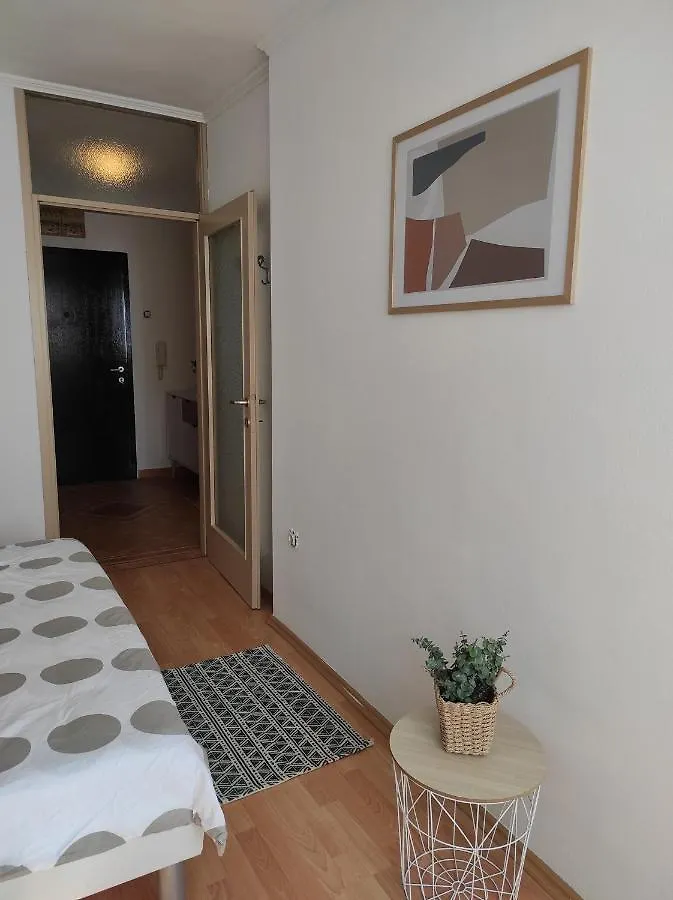 Sunny Apartment In Rijeka